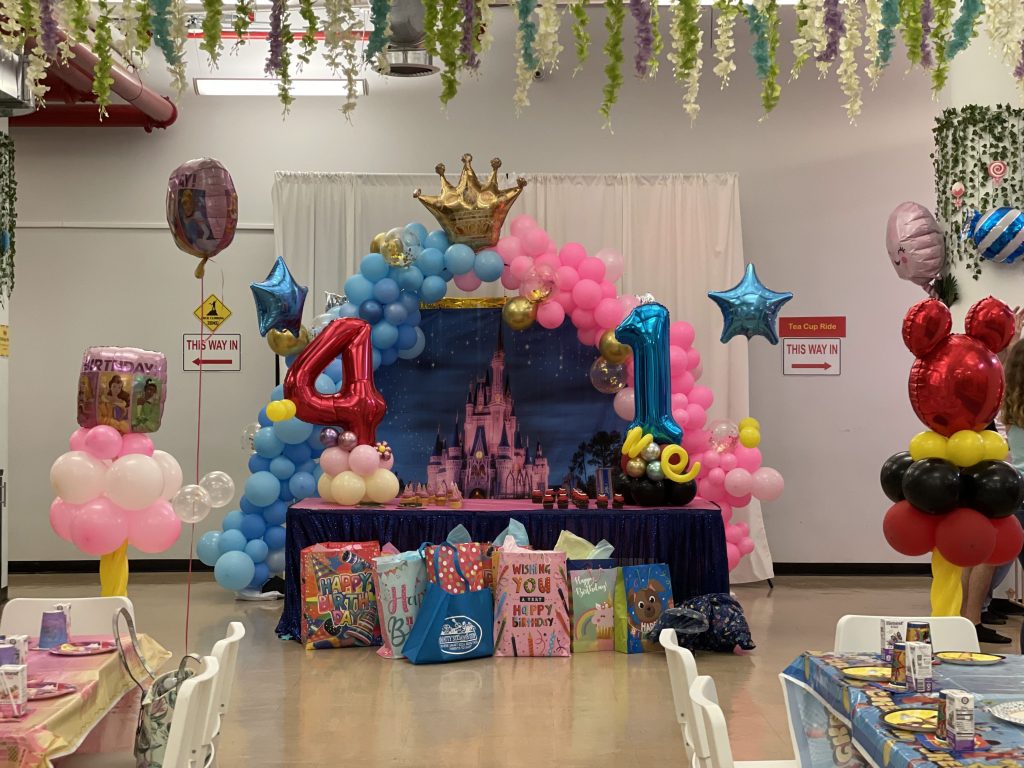 Private Party Disney 2 Themes